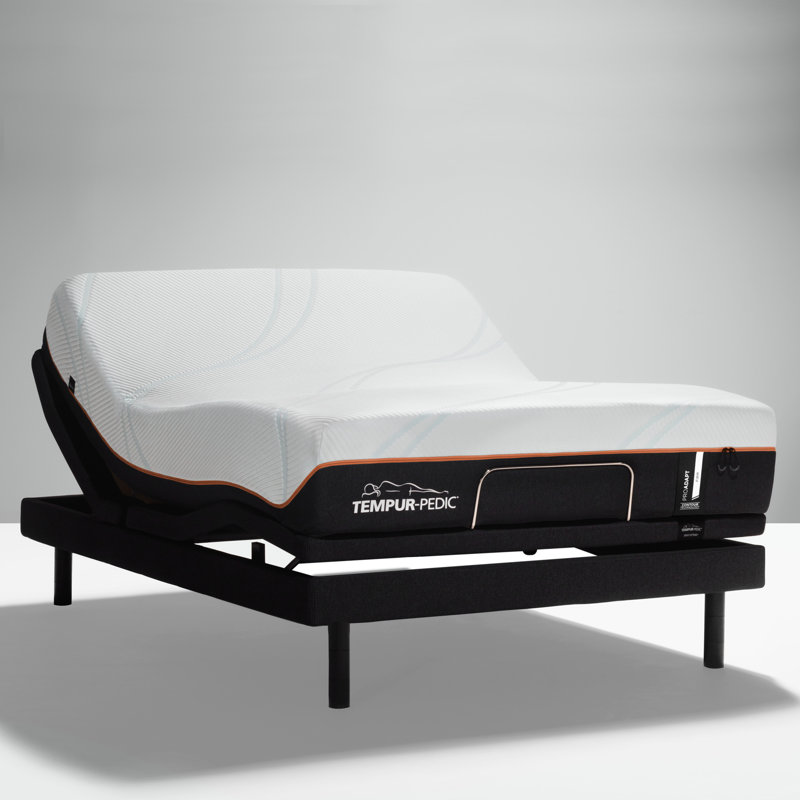 TempurPedic TEMPURErgo Extend Adjustable Bed Base & Reviews Perigold